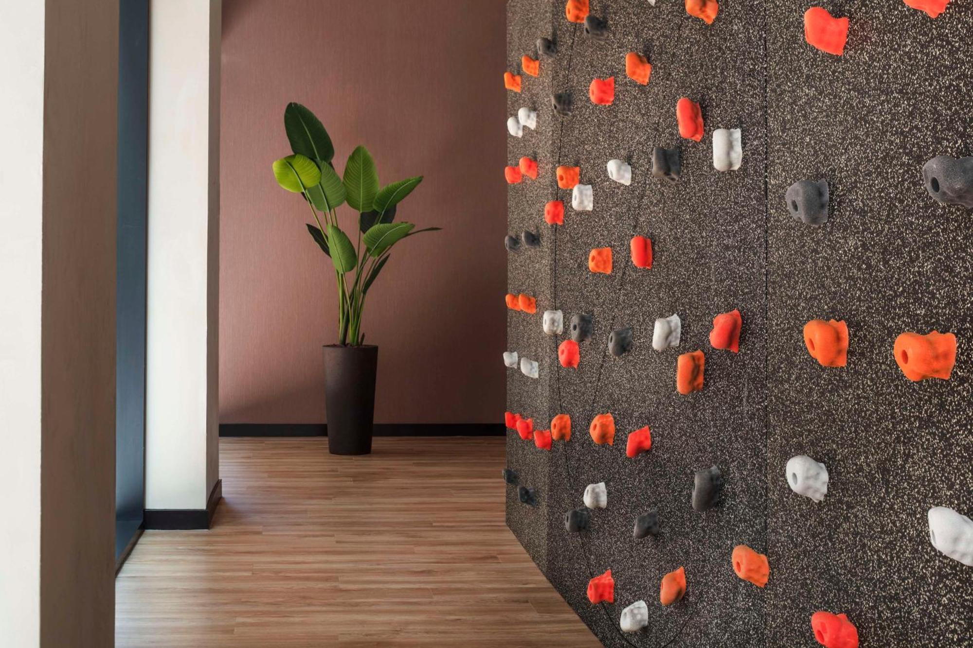 Anantara Grand Hotel Krasnapolsky Ámsterdam Exterior foto A climbing wall in a home